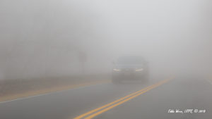 An SUV in thick fog but displaying ony Daytime Running Lights [DRL]. It would have been more conspicuous and much safer to turn on the regular low-beam headlights.